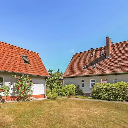 Eichhoernchen * Heringsdorf (Usedom)